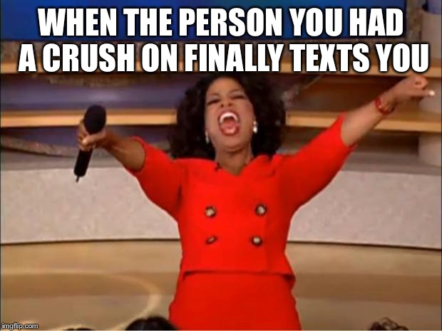 Oprah You Get A | WHEN THE PERSON YOU HAD A CRUSH ON FINALLY TEXTS YOU | image tagged in memes,oprah you get a | made w/ Imgflip meme maker