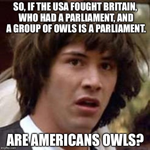 Conspiracy Keanu | SO, IF THE USA FOUGHT BRITAIN, WHO HAD A PARLIAMENT, AND A GROUP OF OWLS IS A PARLIAMENT. ARE AMERICANS OWLS? | image tagged in memes,conspiracy keanu | made w/ Imgflip meme maker