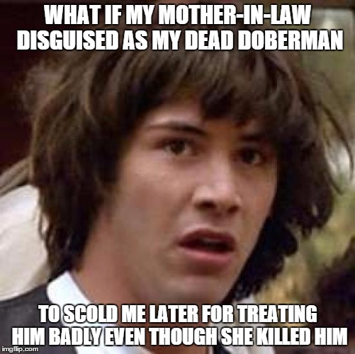 Conspiracy Keanu | WHAT IF MY MOTHER-IN-LAW DISGUISED AS MY DEAD DOBERMAN; TO SCOLD ME LATER FOR TREATING HIM BADLY EVEN THOUGH SHE KILLED HIM | image tagged in memes,conspiracy keanu | made w/ Imgflip meme maker