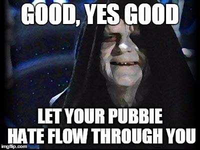 Emperor Palpatine | GOOD, YES GOOD; LET YOUR PUBBIE HATE FLOW THROUGH YOU | image tagged in emperor palpatine | made w/ Imgflip meme maker