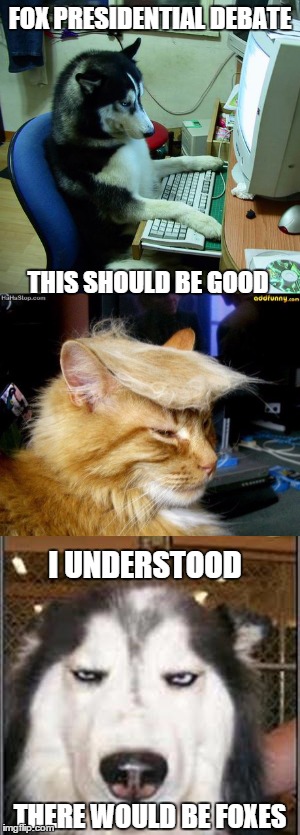 Funniest debate yet | FOX PRESIDENTIAL DEBATE; THIS SHOULD BE GOOD; I UNDERSTOOD; THERE WOULD BE FOXES | image tagged in meme,funny,election,trump | made w/ Imgflip meme maker