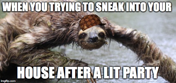 Drunk Sloth | WHEN YOU TRYING TO SNEAK INTO YOUR; HOUSE AFTER A LIT PARTY | image tagged in sloth,funny meme | made w/ Imgflip meme maker