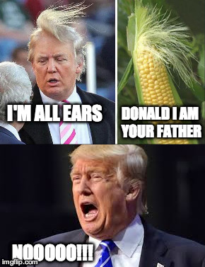 Corny I Know | DONALD I AM YOUR FATHER; I'M ALL EARS; NOOOOO!!! | image tagged in donald trump,donald trump hair,corn,funny | made w/ Imgflip meme maker