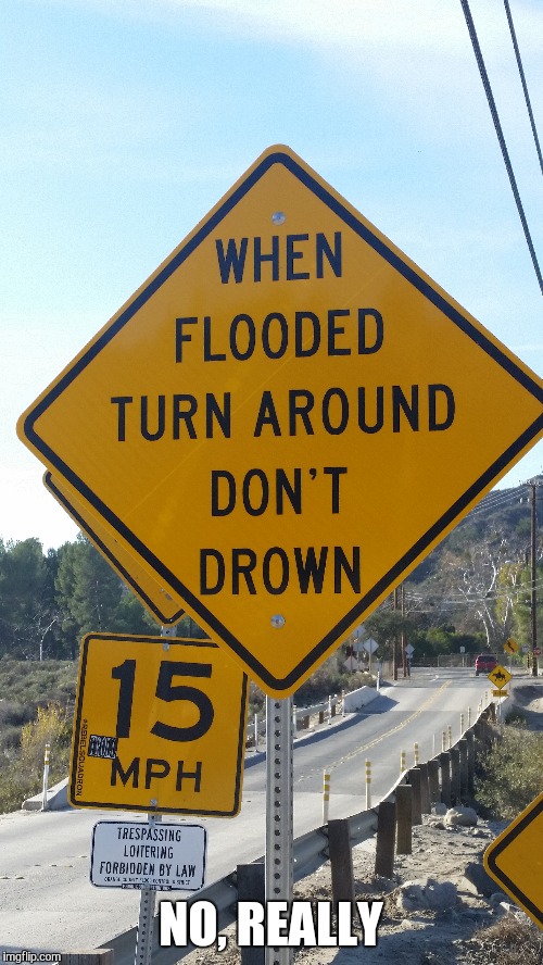 Legit sign | NO, REALLY | image tagged in memes | made w/ Imgflip meme maker