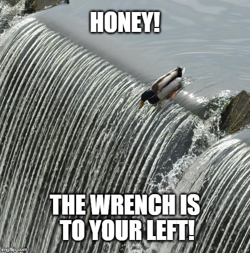 Duck It, Don't Care Anymore | HONEY! THE WRENCH IS TO YOUR LEFT! | image tagged in wrench,couple,duck it don't care anymore | made w/ Imgflip meme maker