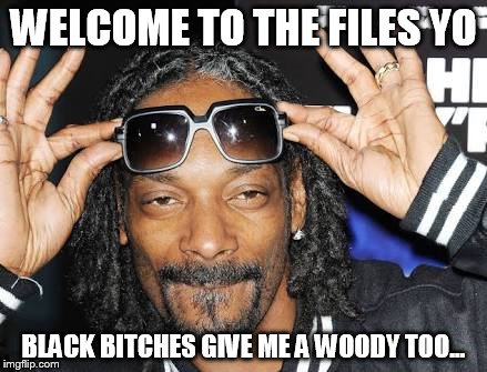 Snoop dogg likes | WELCOME TO THE FILES YO; BLACK BITCHES GIVE ME A WOODY TOO... | image tagged in snoop dogg likes | made w/ Imgflip meme maker