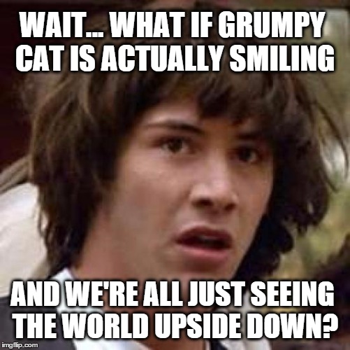 Conspiracy Keanu Meme | WAIT... WHAT IF GRUMPY CAT IS ACTUALLY SMILING; AND WE'RE ALL JUST SEEING THE WORLD UPSIDE DOWN? | image tagged in memes,conspiracy keanu,grumpy cat,smiling,upside-down,perspective | made w/ Imgflip meme maker