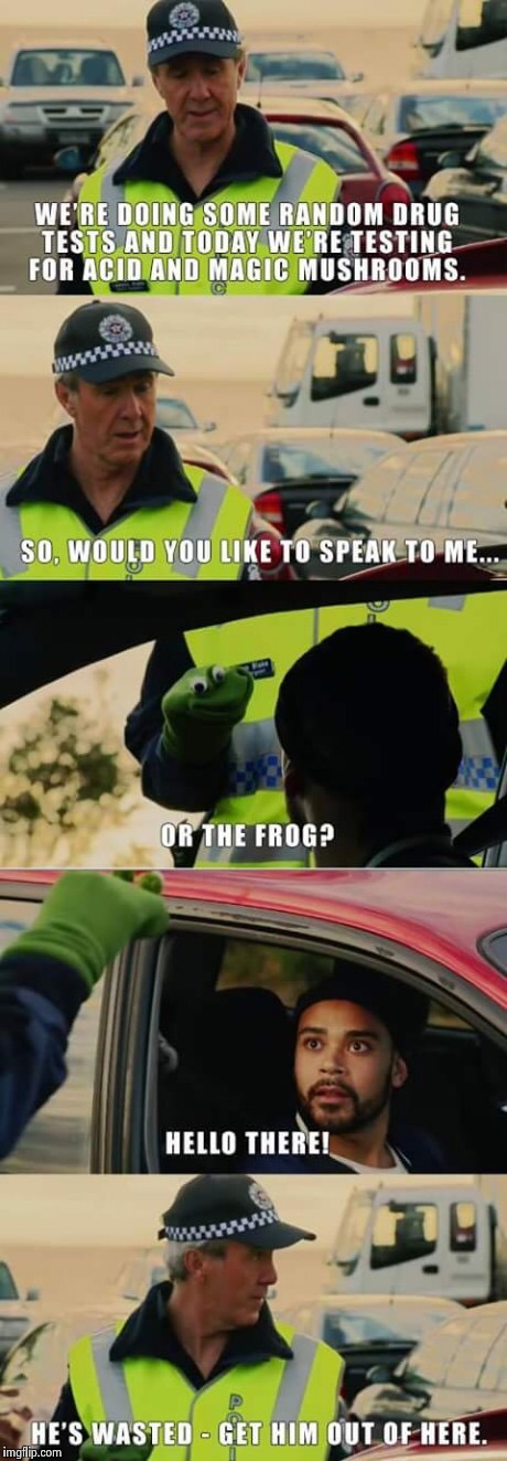 I definitely would have talked to the frog... | image tagged in funny,traffic | made w/ Imgflip meme maker