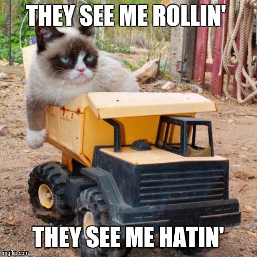grumpy cat rolling | THEY SEE ME ROLLIN'; THEY SEE ME HATIN' | image tagged in grumpy cat rolling,funny cat memes | made w/ Imgflip meme maker