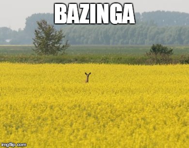 BAZINGA | image tagged in bazinga | made w/ Imgflip meme maker