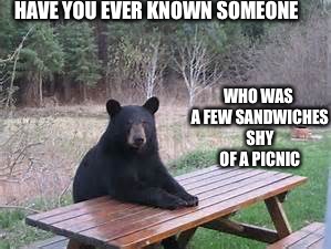 picnic bear | HAVE YOU EVER KNOWN SOMEONE; WHO WAS A FEW SANDWICHES SHY OF A PICNIC | image tagged in picnic bear | made w/ Imgflip meme maker