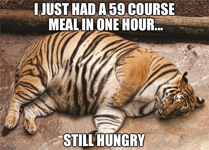 I JUST HAD A 59 COURSE MEAL IN ONE HOUR... STILL HUNGRY | image tagged in fatso | made w/ Imgflip meme maker
