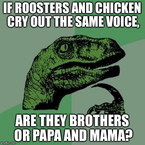 Philosoraptor | IF ROOSTERS AND CHICKEN CRY OUT THE SAME VOICE, ARE THEY BROTHERS OR PAPA AND MAMA? | image tagged in memes,philosoraptor | made w/ Imgflip meme maker