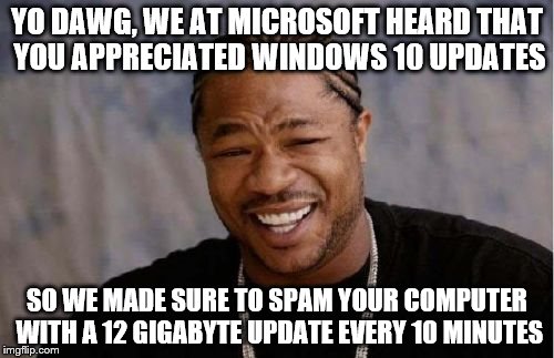 Yo Dawg Heard You Meme | YO DAWG, WE AT MICROSOFT HEARD THAT YOU APPRECIATED WINDOWS 10 UPDATES; SO WE MADE SURE TO SPAM YOUR COMPUTER WITH A 12 GIGABYTE UPDATE EVERY 10 MINUTES | image tagged in memes,yo dawg heard you | made w/ Imgflip meme maker