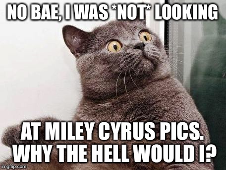 Surprised cat | NO BAE, I WAS *NOT* LOOKING; AT MILEY CYRUS PICS. WHY THE HELL WOULD I? | image tagged in surprised cat | made w/ Imgflip meme maker