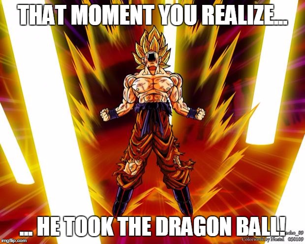 Goku DBZ Wikia Becky Hijabi | THAT MOMENT YOU REALIZE... ... HE TOOK THE DRAGON BALL! | image tagged in goku dbz wikia becky hijabi | made w/ Imgflip meme maker