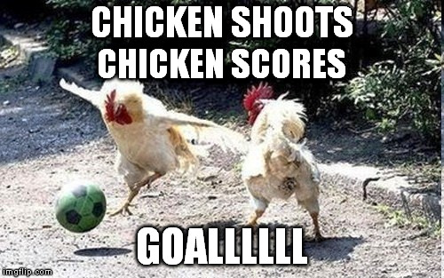 Ballers | CHICKEN SHOOTS; CHICKEN SCORES; GOALLLLLL | image tagged in meme,funny animals | made w/ Imgflip meme maker