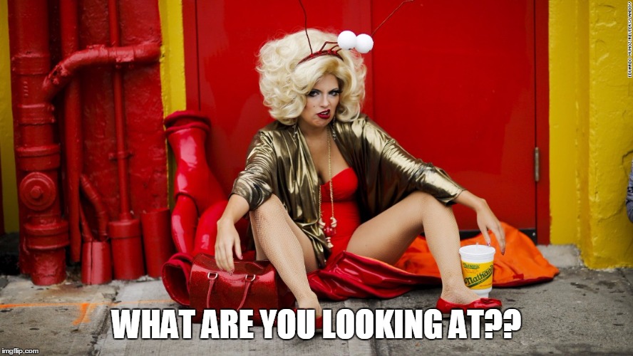 Grumpy Blondes | WHAT ARE YOU LOOKING AT?? | image tagged in grumpy blondes | made w/ Imgflip meme maker