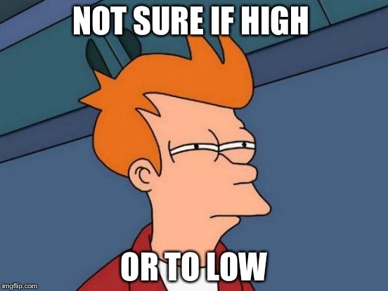 Futurama Fry | NOT SURE IF HIGH; OR TO LOW | image tagged in memes,futurama fry | made w/ Imgflip meme maker