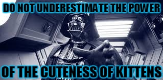 DO NOT UNDERESTIMATE THE POWER OF THE CUTENESS OF KITTENS | made w/ Imgflip meme maker