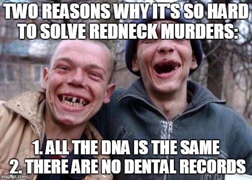 Ugly Twins | TWO REASONS WHY IT'S SO HARD TO SOLVE REDNECK MURDERS:; 1. ALL THE DNA IS THE SAME 2. THERE ARE NO DENTAL RECORDS | image tagged in memes,ugly twins | made w/ Imgflip meme maker