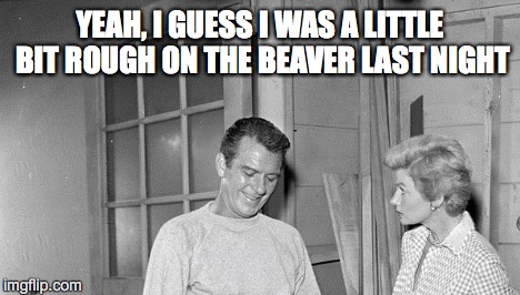 The Dirtiest Show On Television | YEAH, I GUESS I WAS A LITTLE BIT ROUGH ON THE BEAVER LAST NIGHT | image tagged in leave it to beaver | made w/ Imgflip meme maker