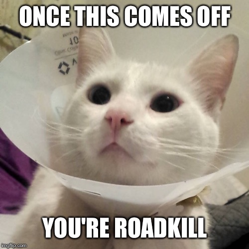 ONCE THIS COMES OFF YOU'RE ROADKILL | made w/ Imgflip meme maker