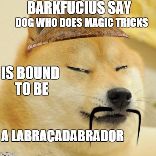 black lab magic | BARKFUCIUS SAY; DOG WHO DOES MAGIC TRICKS; IS BOUND TO BE; A LABRACADABRADOR | image tagged in barkfucius asian doge barkfucious,barkfucious,barkfucius,memes,funny dogs | made w/ Imgflip meme maker