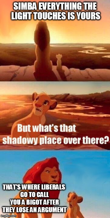 Simba Shadowy Place | SIMBA EVERYTHING THE LIGHT TOUCHES IS YOURS; THAT'S WHERE LIBERALS GO TO CALL YOU A BIGOT AFTER THEY LOSE AN ARGUMENT | image tagged in memes,simba shadowy place | made w/ Imgflip meme maker