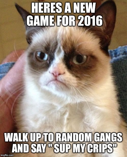 Grumpy Cat | HERES A NEW GAME FOR 2016; WALK UP TO RANDOM GANGS AND SAY " SUP MY CRIPS" | image tagged in memes,grumpy cat | made w/ Imgflip meme maker