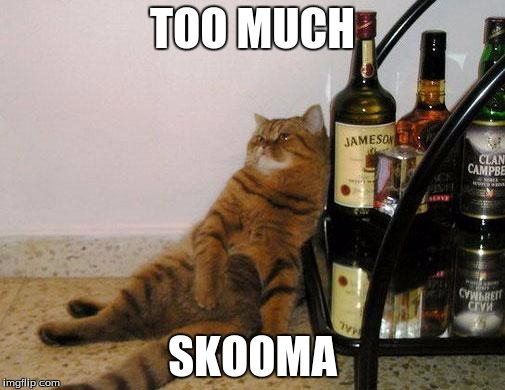 Taylor Swift Drunk Cat | TOO MUCH; SKOOMA | image tagged in taylor swift drunk cat,skyrim | made w/ Imgflip meme maker