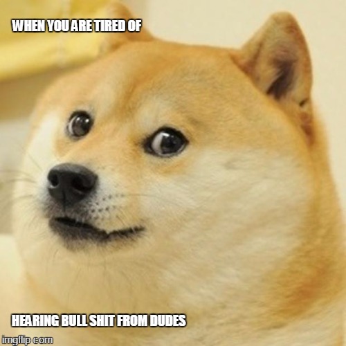 Doge Meme | WHEN YOU ARE TIRED OF; HEARING BULL SHIT FROM DUDES | image tagged in memes,doge | made w/ Imgflip meme maker