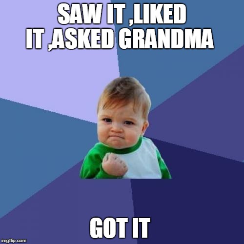 Success Kid | SAW IT ,LIKED IT ,ASKED GRANDMA; GOT IT | image tagged in memes,success kid | made w/ Imgflip meme maker