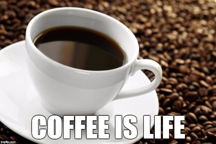 COFFEE IS LIFE | COFFEE IS LIFE | image tagged in coffee is life,cup,of,coffee | made w/ Imgflip meme maker