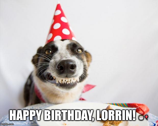 birthday dog | HAPPY BIRTHDAY, LORRIN! 🎂🎈 | image tagged in birthday dog | made w/ Imgflip meme maker