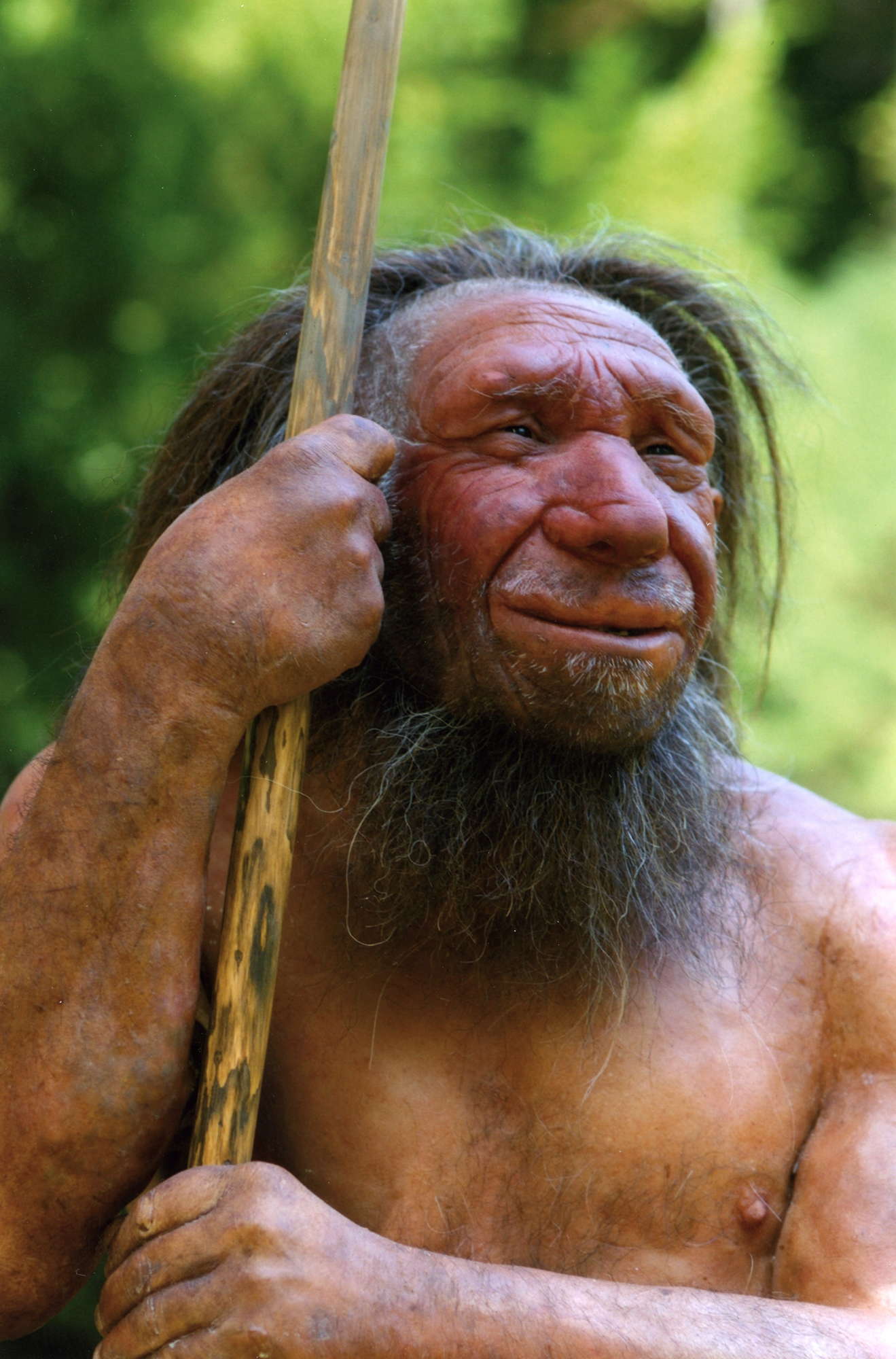 High Quality Neanderthal Blank Meme Template