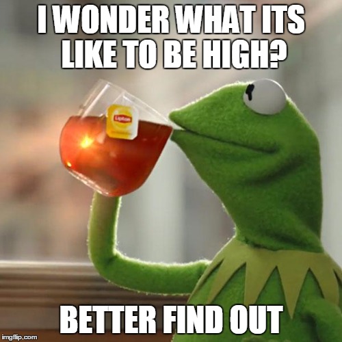 But That's None Of My Business | I WONDER WHAT ITS LIKE TO BE HIGH? BETTER FIND OUT | image tagged in memes,but thats none of my business,kermit the frog | made w/ Imgflip meme maker