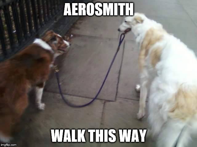 AEROSMITH; WALK THIS WAY | image tagged in aerosmith,walking the dog,funny dogs,dog day afternoon | made w/ Imgflip meme maker