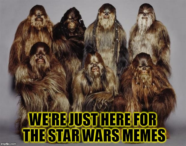 I'm putting links to some SW memes I like in the comments.  Feel free to add ones I've missed (no Ep7 spoilers please). | WE'RE JUST HERE FOR THE STAR WARS MEMES | image tagged in memes,imgflip,star wars memes,wookies star wars forest world problems | made w/ Imgflip meme maker