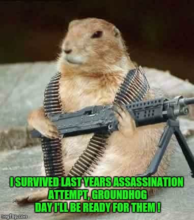Groundhog | I SURVIVED LAST YEARS ASSASSINATION ATTEMPT, GROUNDHOG DAY I'LL BE READY FOR THEM ! | image tagged in groundhog | made w/ Imgflip meme maker