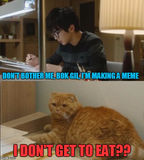FMM - Fan Made Meme | DON'T BOTHER ME, BOK GIL, I'M MAKING A MEME; I DON'T GET TO EAT?? | image tagged in imaginary cat,memes,bok gil,yoo seung ho | made w/ Imgflip meme maker