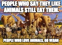 animals | PEOPLE WHO SAY THEY LIKE ANIMALS STILL EAT THEM. PEOPLE WHO LOVE ANIMALS, GO VEGAN | image tagged in animals | made w/ Imgflip meme maker