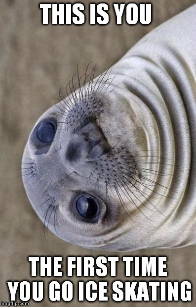 You are on your back again.Wondering why you tried it in the first place, you knew it was gonna be this way, then... why? | THIS IS YOU; THE FIRST TIME YOU GO ICE SKATING | image tagged in memes,awkward moment sealion | made w/ Imgflip meme maker