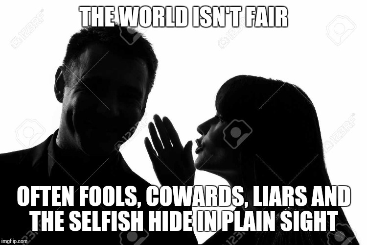 THE WORLD ISN'T FAIR; OFTEN FOOLS, COWARDS, LIARS AND THE SELFISH HIDE IN PLAIN SIGHT | image tagged in backstabber,fool,liars,selfish | made w/ Imgflip meme maker