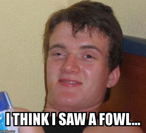 10 Guy Meme | I THINK I SAW A FOWL... | image tagged in memes,10 guy | made w/ Imgflip meme maker