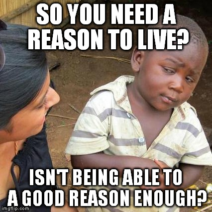 Finally fixed yesterday's meme, yay (°u°)/ | SO YOU NEED A REASON TO LIVE? ISN'T BEING ABLE TO A GOOD REASON ENOUGH? | image tagged in memes,third world skeptical kid | made w/ Imgflip meme maker