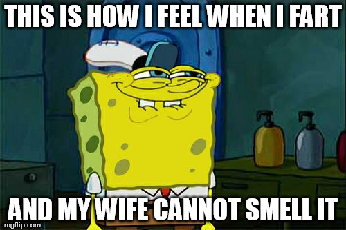 Don't You Squidward | THIS IS HOW I FEEL WHEN I FART; AND MY WIFE CANNOT SMELL IT | image tagged in memes,dont you squidward | made w/ Imgflip meme maker
