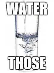 bad water joke... | WATER; THOSE | image tagged in water | made w/ Imgflip meme maker
