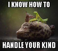 I KNOW HOW TO HANDLE YOUR KIND | made w/ Imgflip meme maker