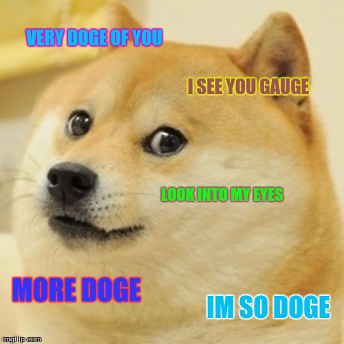 Doge Meme | VERY DOGE OF YOU; I SEE YOU GAUGE; LOOK INTO MY EYES; MORE DOGE; IM SO DOGE | image tagged in memes,doge | made w/ Imgflip meme maker